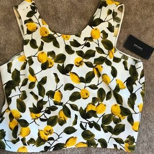 Zara NWT Lemon Citrus Cropped Sleeveless XS Top
